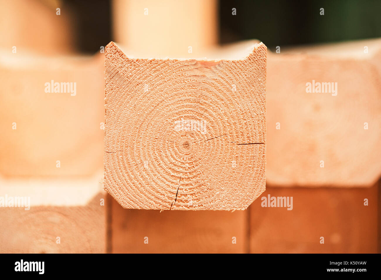 lumber industrial wood texture, timber butts background. Butt end of a processed wooden beam. in the center view Stock Photo
