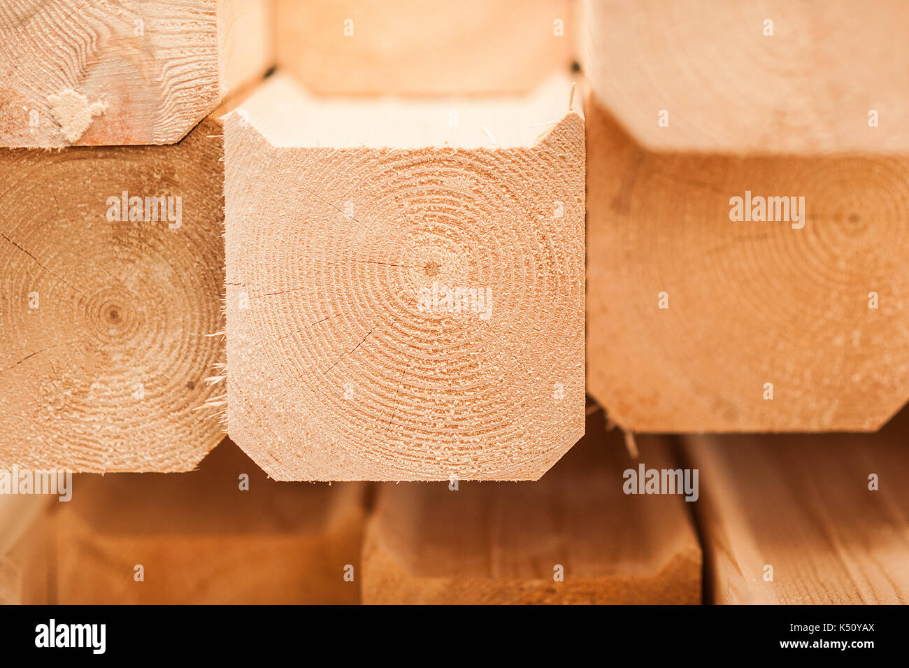 lumber industrial wood texture, timber butts background. Butt end of a processed wooden beam. many elements Stock Photo