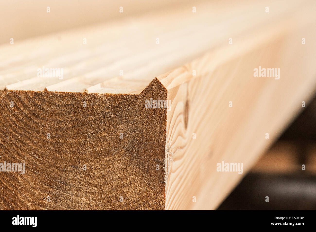 lumber industrial wood texture, timber butts background. Butt end of a processed wooden beam. close Stock Photo