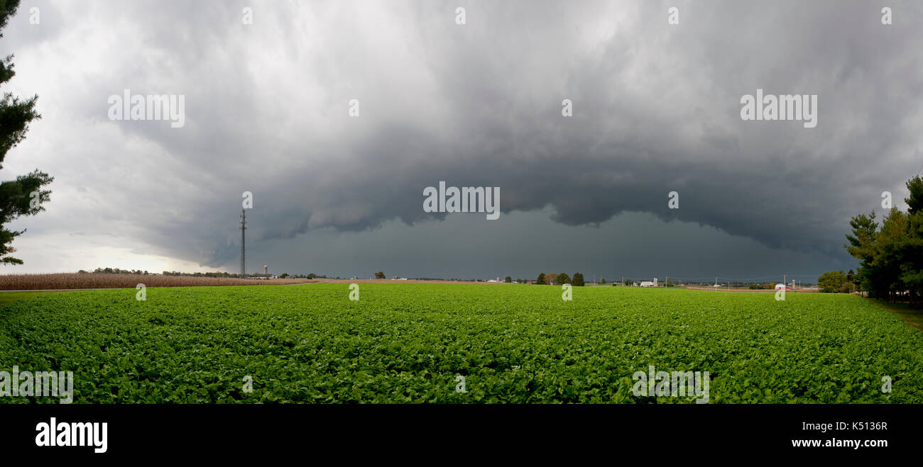 DARK STORM COMING IN OVER FIELD OF AGRICULTURAL COVER CROP, LITITZ PA Stock Photo