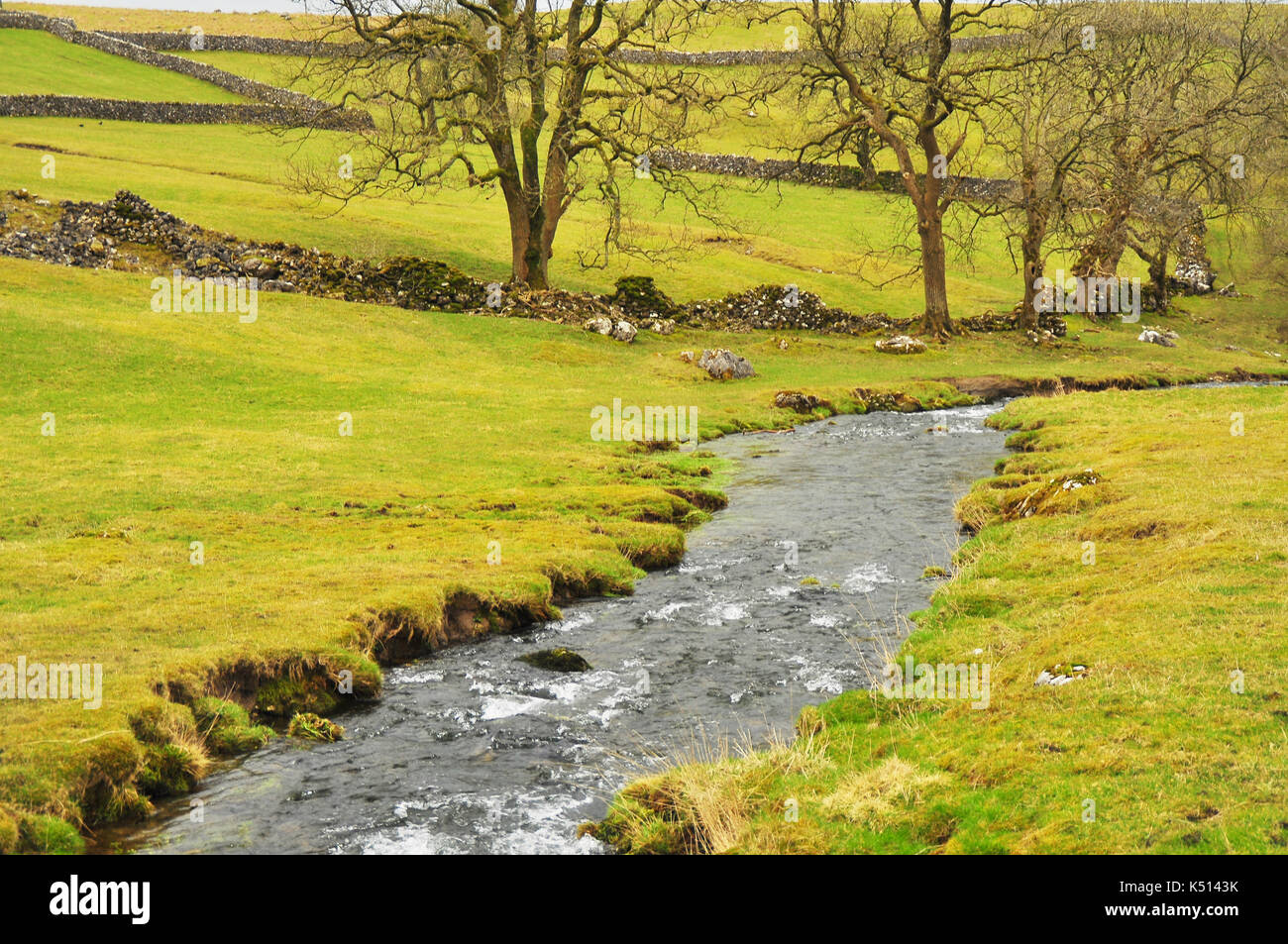Stream during Autumn in Yorkshire Dales UK Stock Photo