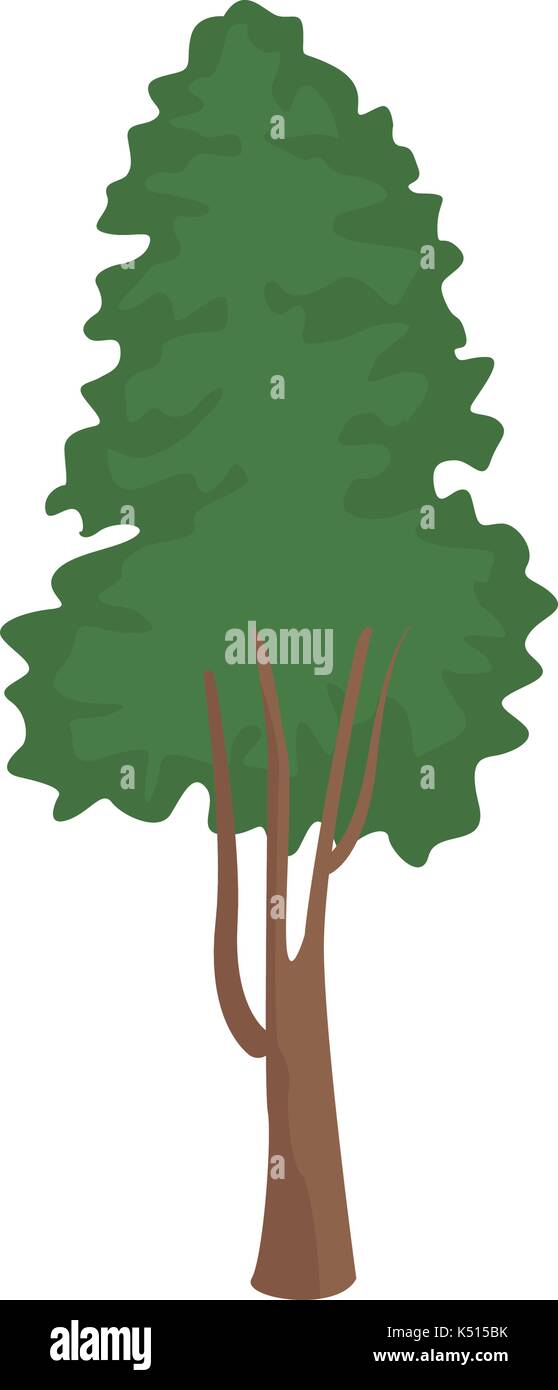 Tree nature isolated Stock Vector Image & Art - Alamy