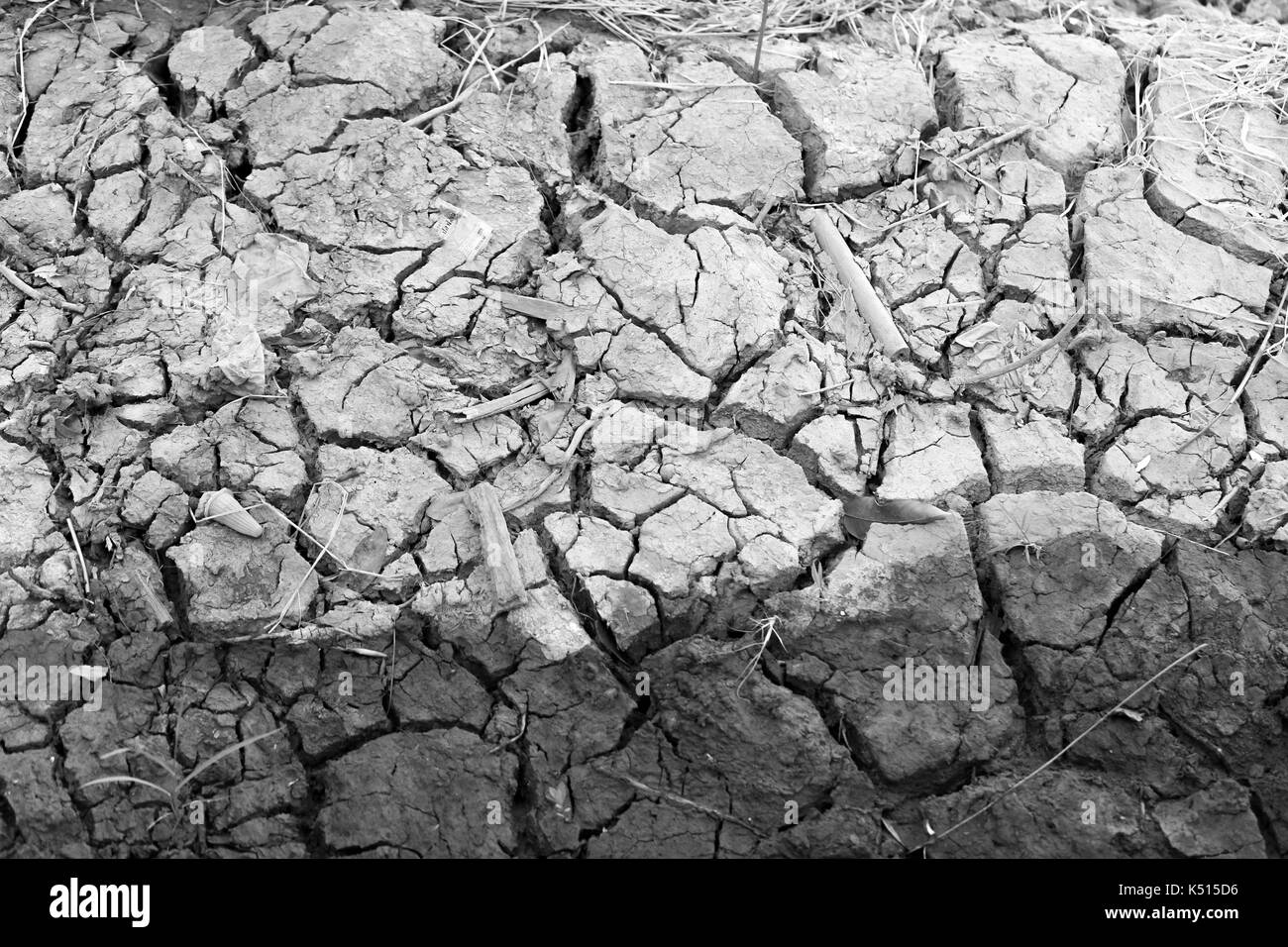Arid nature. Closeup Crack soil black and white texture background. Stock Photo