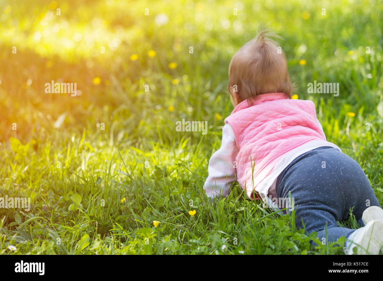 One year old baby crawling in the grass facing away from the camera