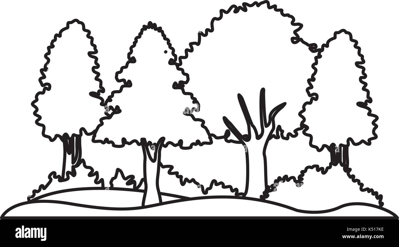 Beautiful forest landscape Stock Vector Image & Art - Alamy