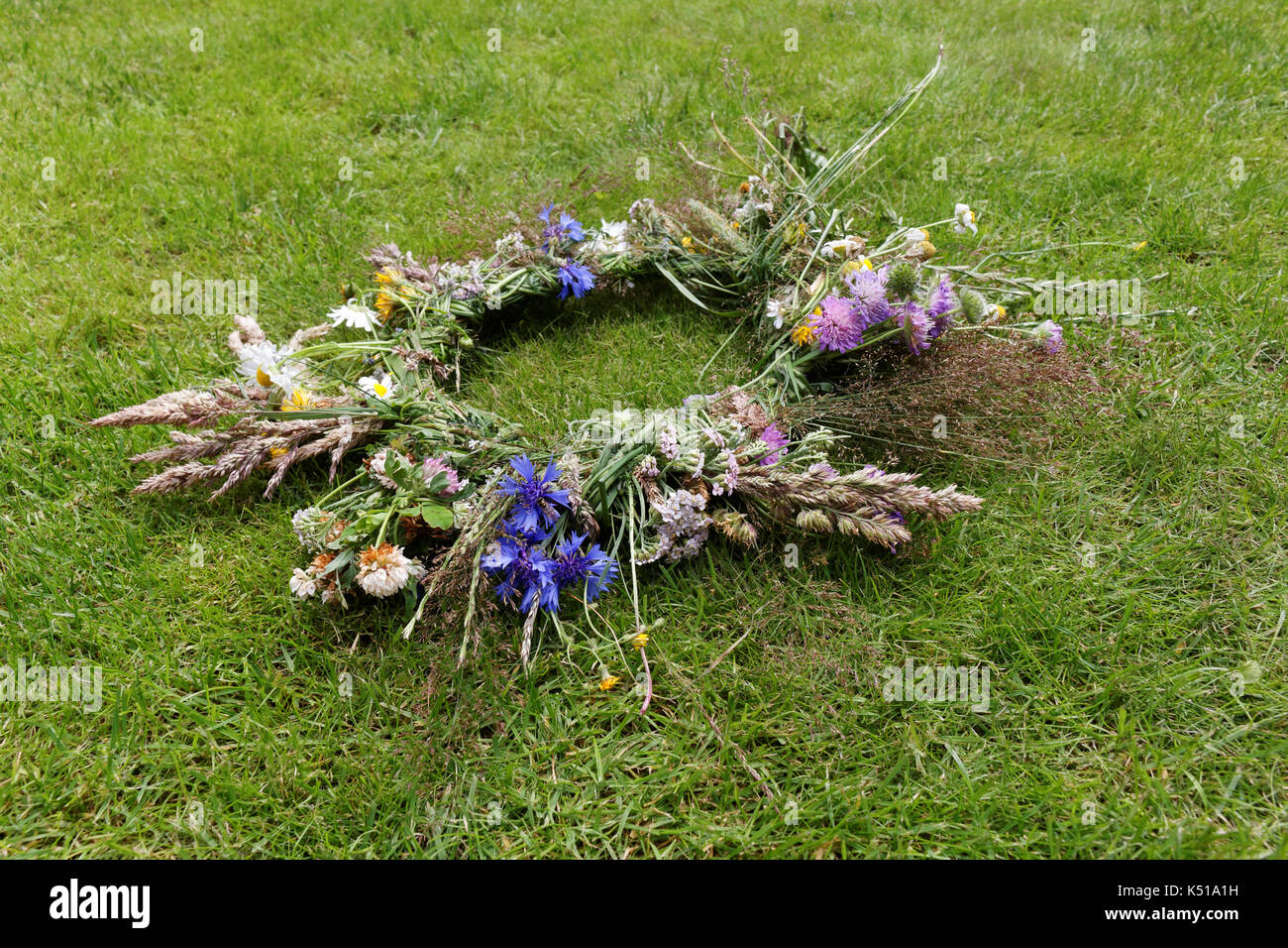 Cornflowers in wreath, Midsummer flower Stock Photo Alamy