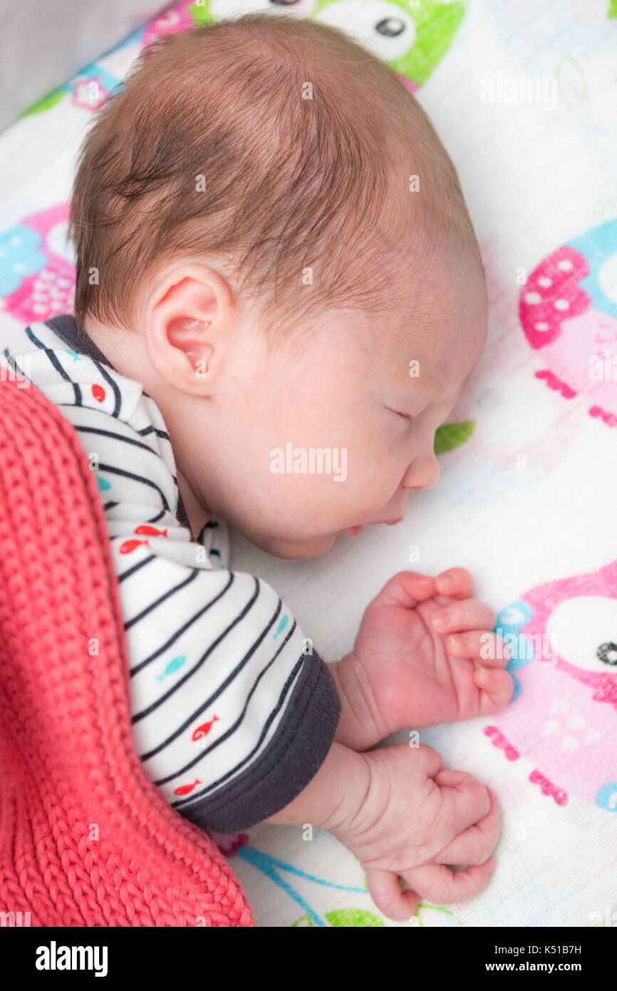 Newborn 8 days old baby sleeping in the crib Stock Photo Alamy