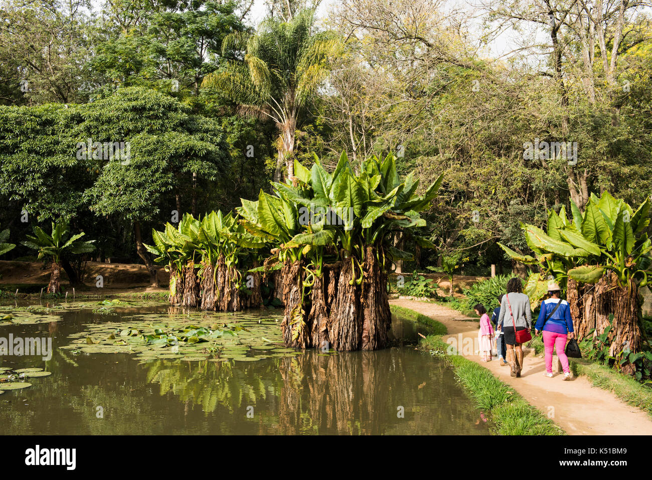 Lake in the Botanical and Zoological Garden of Tsimbazaza, Antananarivo, Madagascar Stock Photo