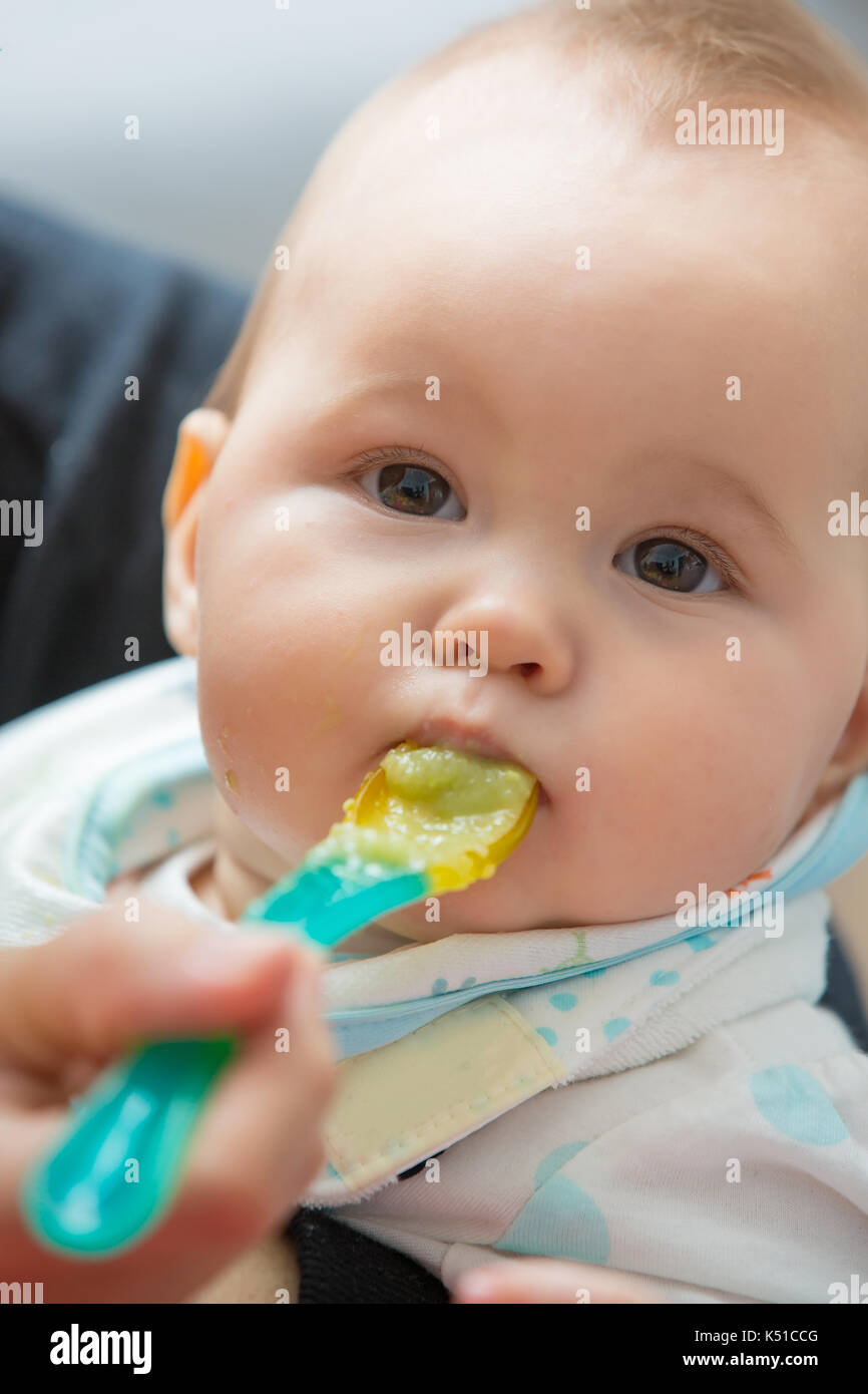 Mother feeding baby girl with mashed avocado and green vegetable, food on a plastic spoon; concept of family life, healthy eating and baby nutrition Stock Photo