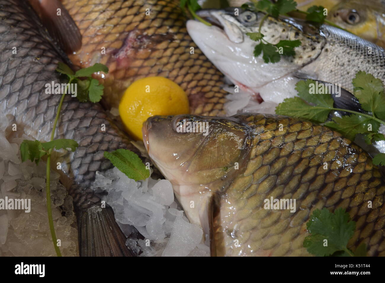 Raw fish with ice at market Stock Photo