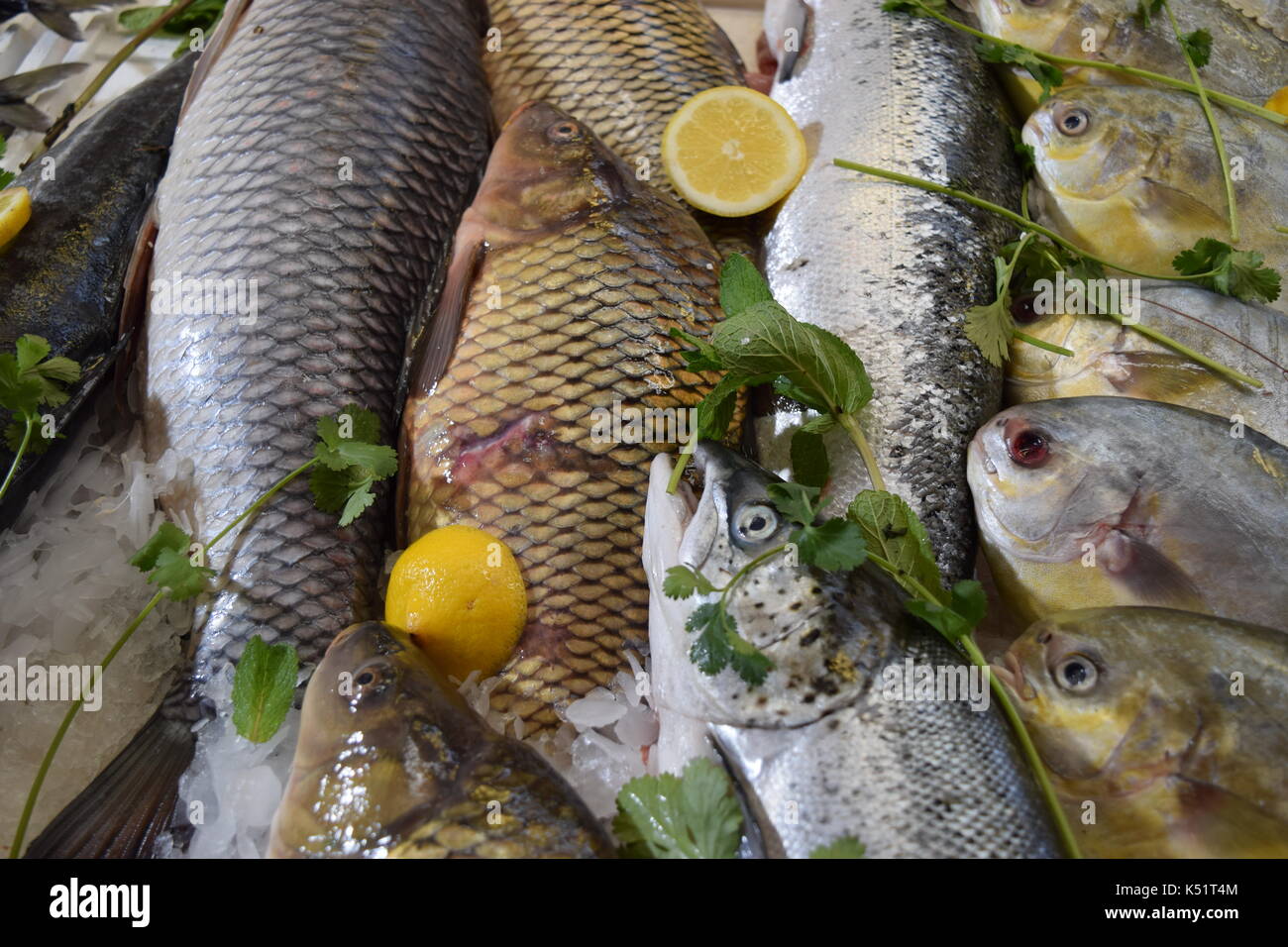 Raw fish with ice at market Stock Photo