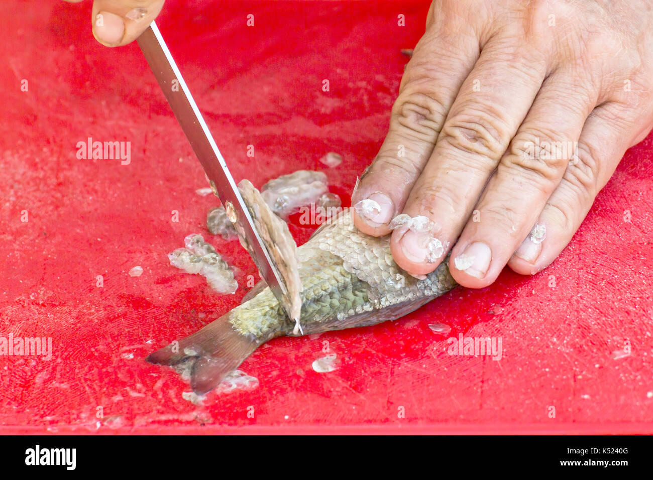 Scaling Fish High Resolution Stock Photography and Images Alamy