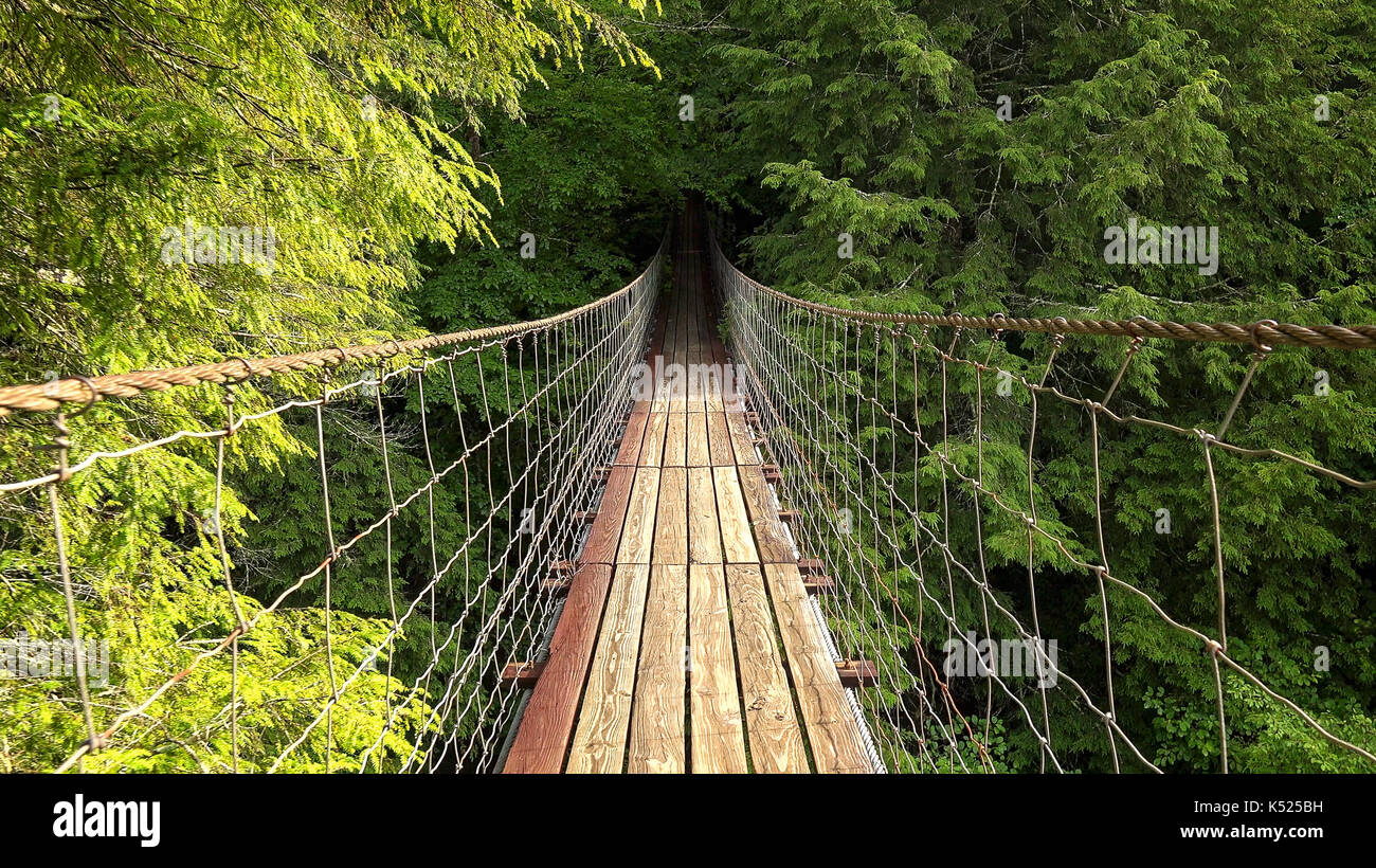 Walking across suspension bridge POV at Fall Creek Falls State Park in Tennessee Stock Photo