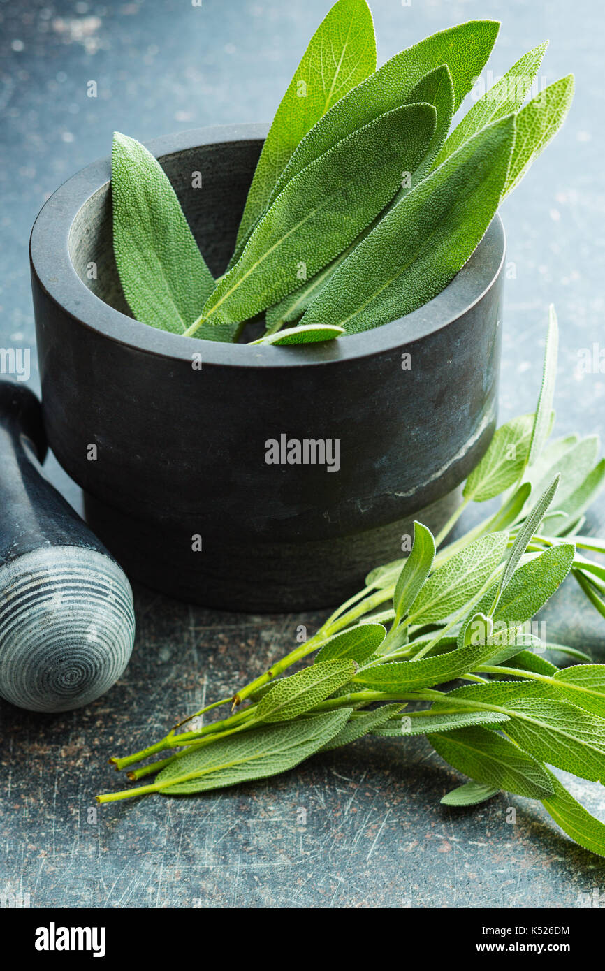 Sage Leaves In Hindi