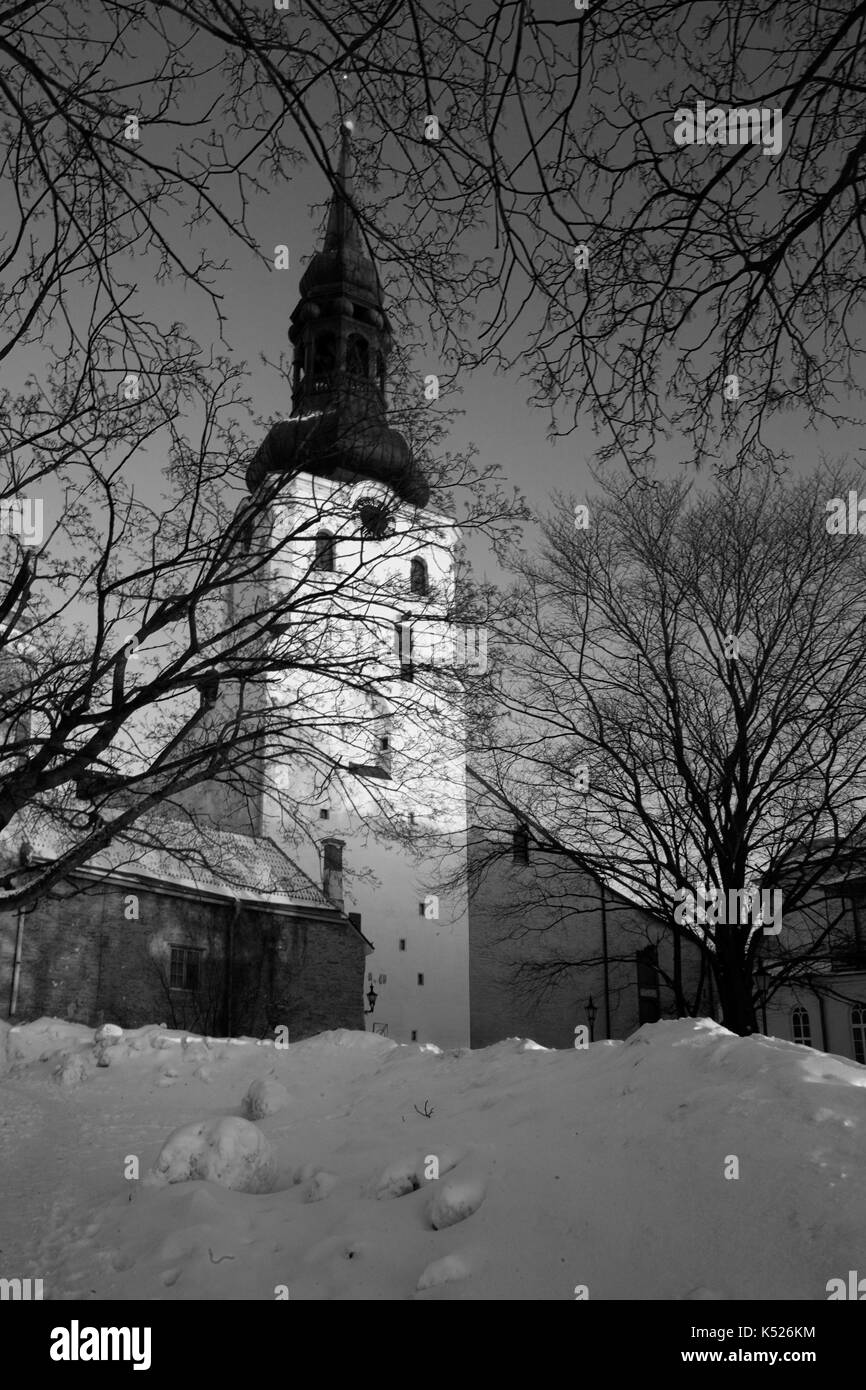 Toomkirik (aka St. Mary's Cathedral) from Piiskopi Aed (the Bishop's Garden), Toompea (Cathedral Hill), Tallinn, Estonia, at evening: black and white Stock Photo