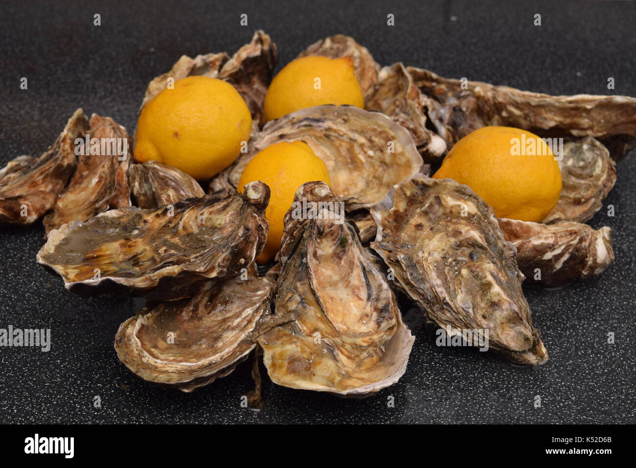Fresh oysters on a surface Stock Photo