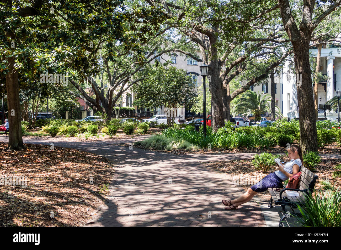 Savannah Georgia,historic district,Chippewa Square,park,bench,woman female women,reading,USA US United States America North American,GA170512132 Stock Photo