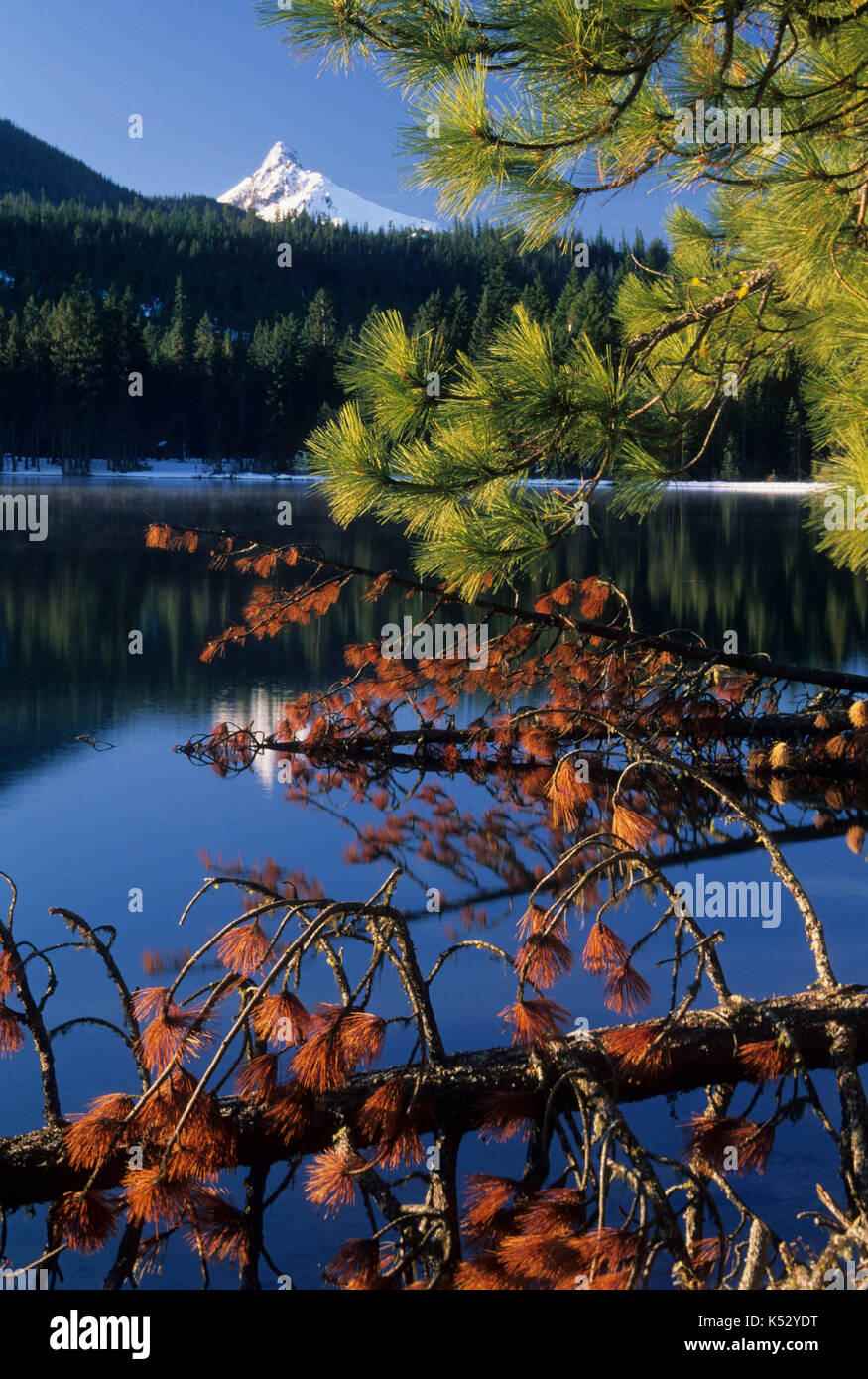 Suttle Lake & Mt Washington, Deschutes National Forest, Oregon Stock Photo