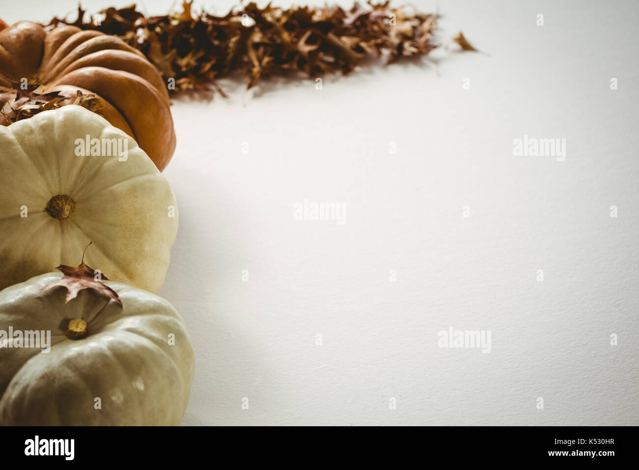Pumpkins arranged by autumn leaves on white background Stock Photo - Alamy