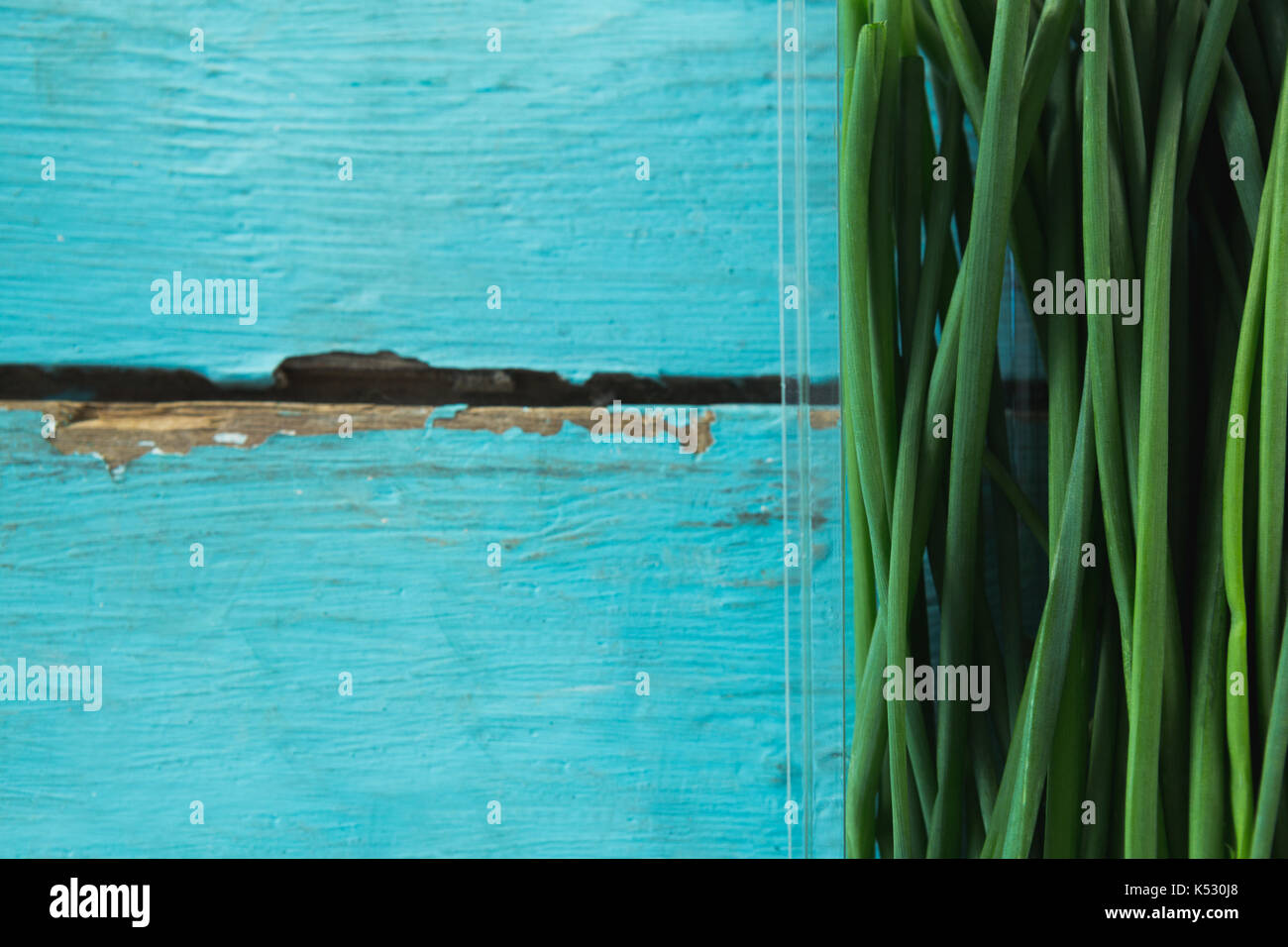 Closeup of garlic chives in plastic container Stock Photo Alamy