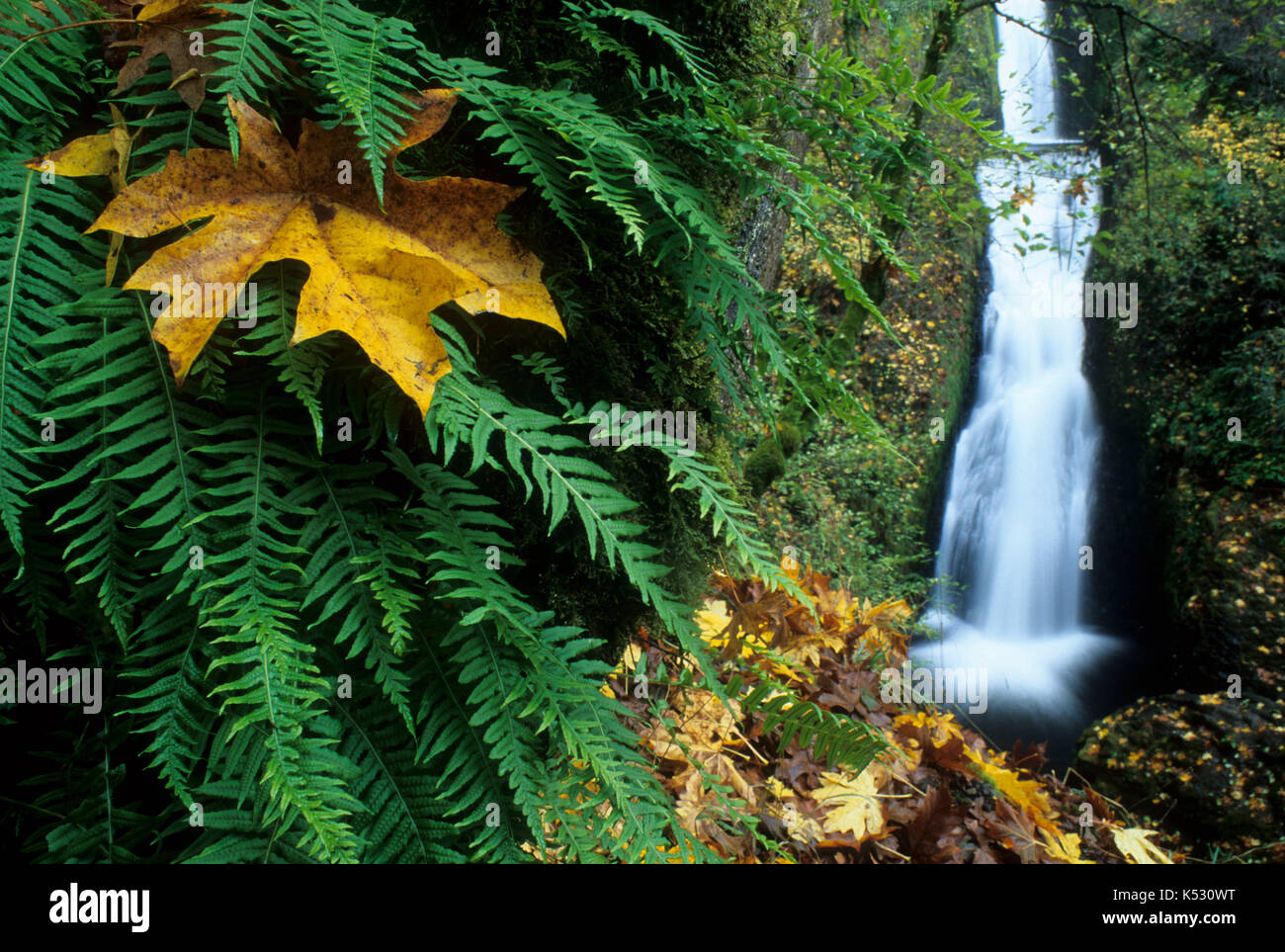Bridal Veil Falls, Bridal Veil State Park, Columbia River