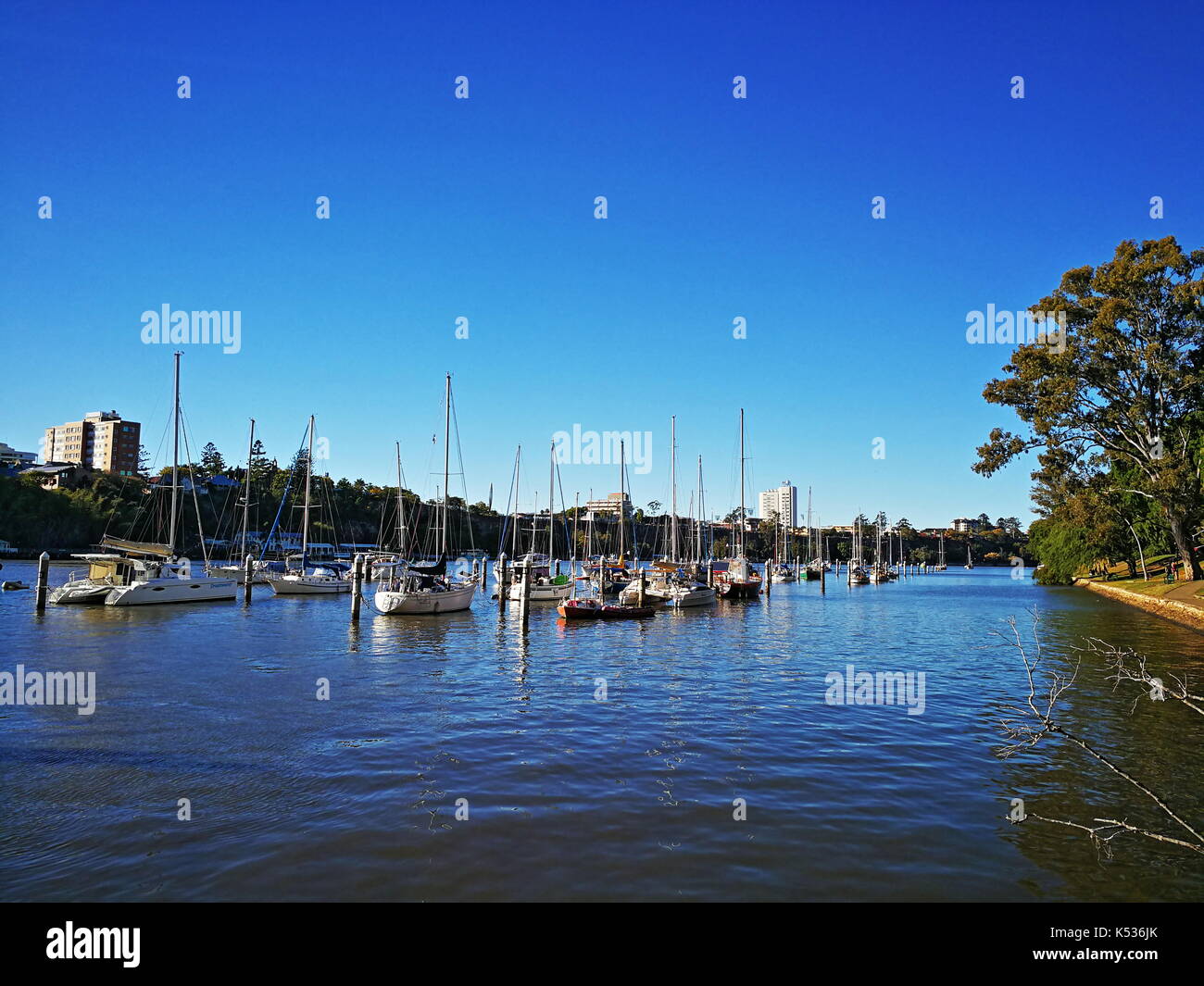 Sailing boats docked at the riverfront of the Brisbane River near
