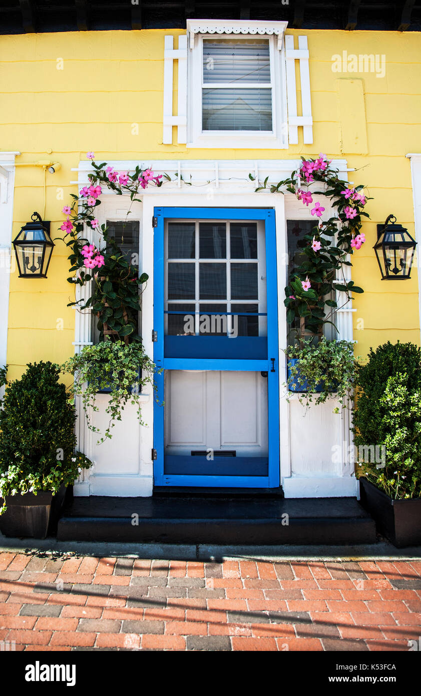 A blue colour screen front door entrance PT to a shop in Cape May county, New Jersey, USA US vines house Stock Photo
