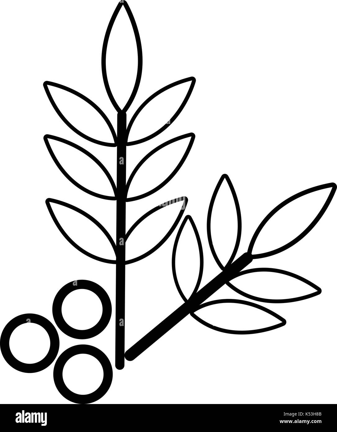Spa eco leafs icon , outline style Stock Vector Image & Art - Alamy
