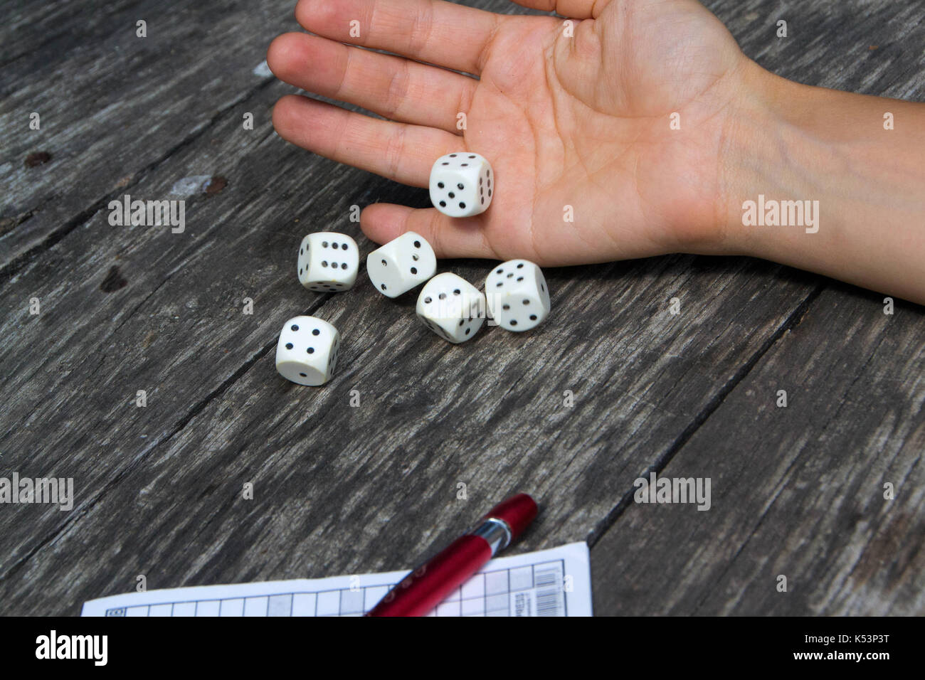 A woman's hand throws dice and plays a Yahtzee, dice game Stock Photo Alamy