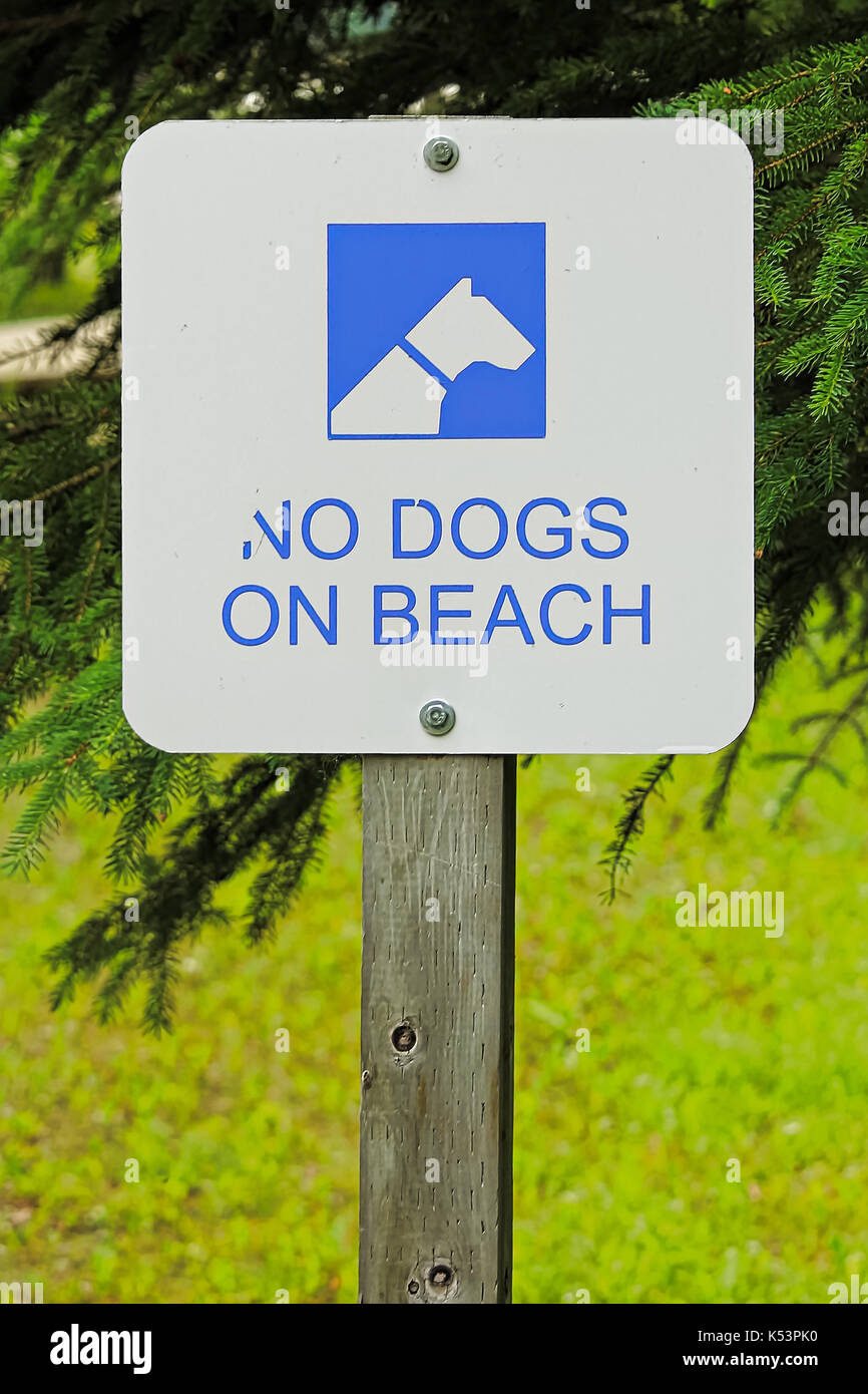 No dogs allowed on beach hires stock photography and images Alamy