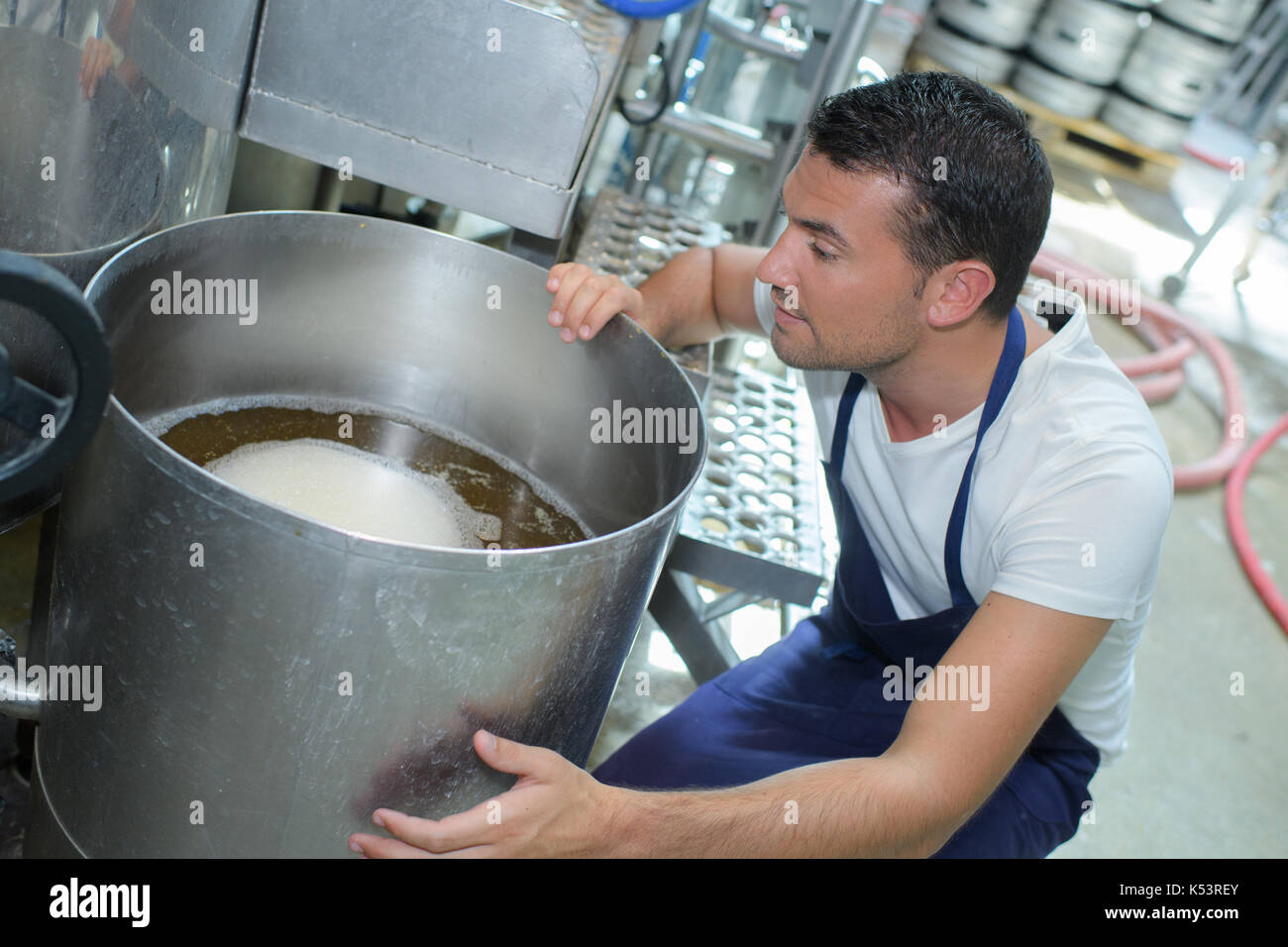 confident young male brewer checking beer maturation process Stock Photo Alamy