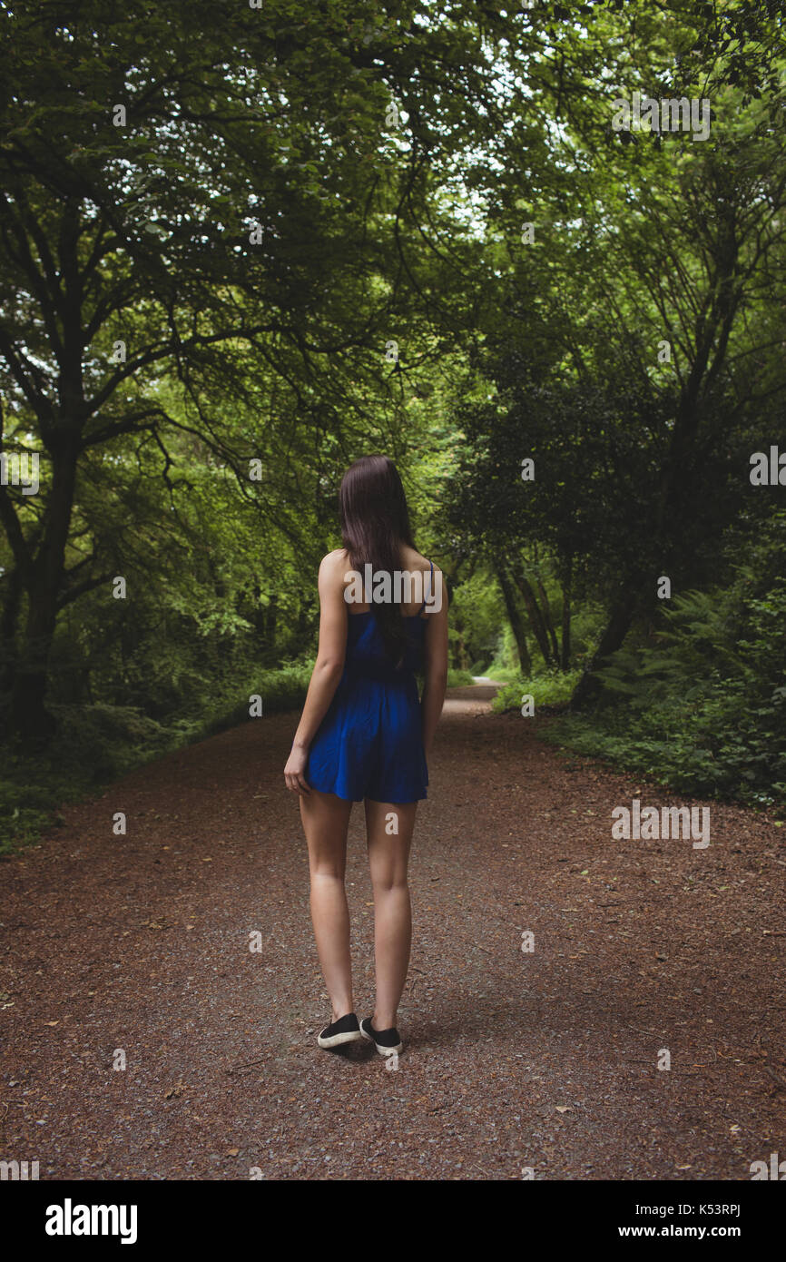 Woman dress rear view long hi-res stock photography and images - Alamy