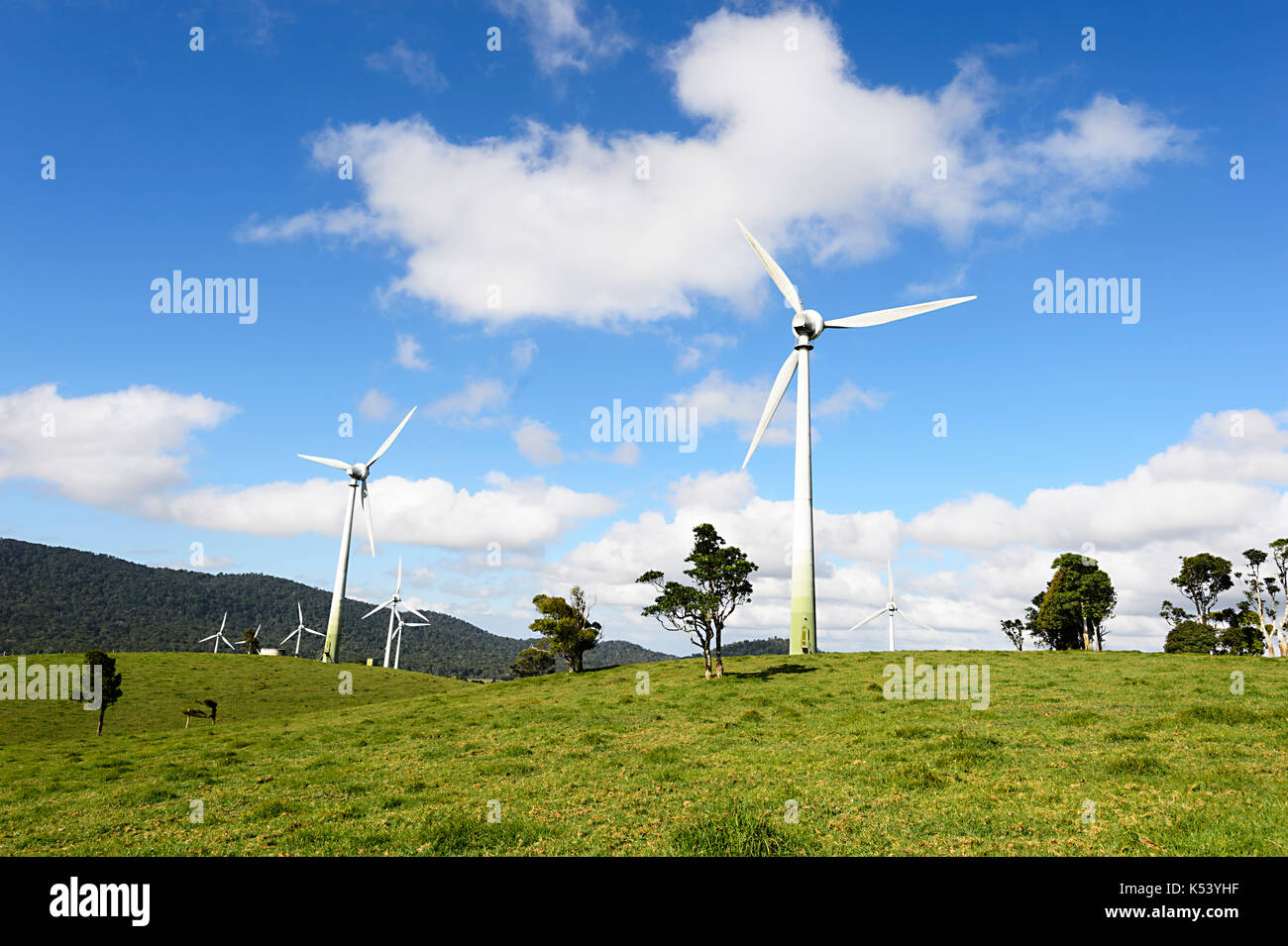 Wind Farm using Enercon E40 turbines produces 12 megawatts of electricity, Windy Hill, Atherton Tablelands, Far North Queensland, FNQ, QLD, Australia Stock Photo