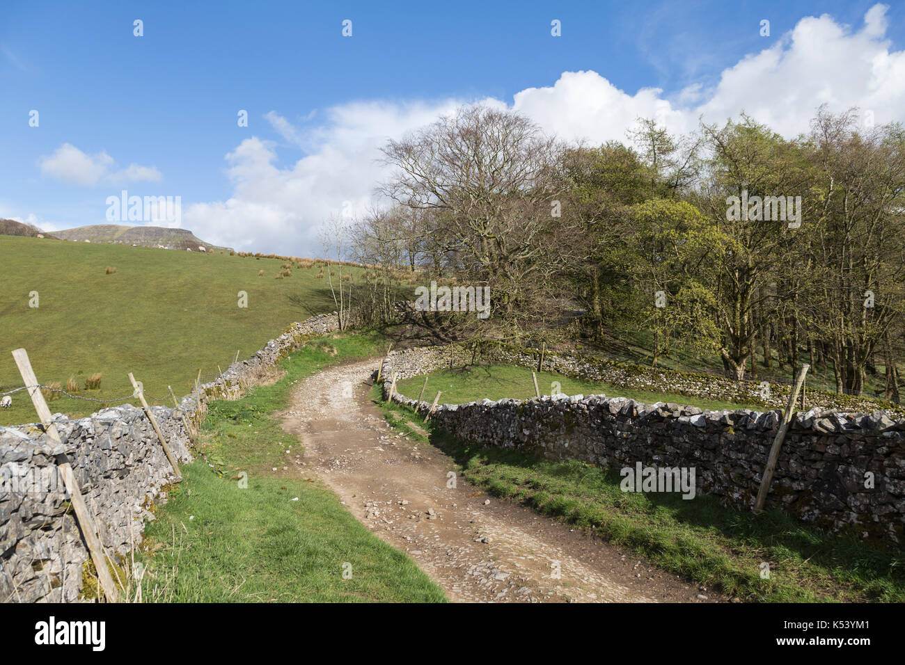 An old drove road near Horton in Ribblesdale, in the Yorkshire Dales, England - leading from the village past Brants Gill Head and Horton Scar Stock Photo