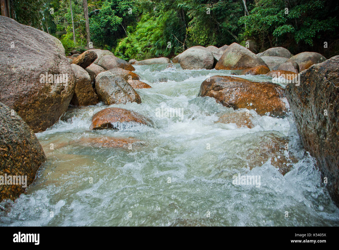 Naturally Undeveloped River In Bentong Pahang Malaysia Janda Baik Is A Popular Place For Meditation Due To The Nature Peaceful Environment Stock Photo Alamy