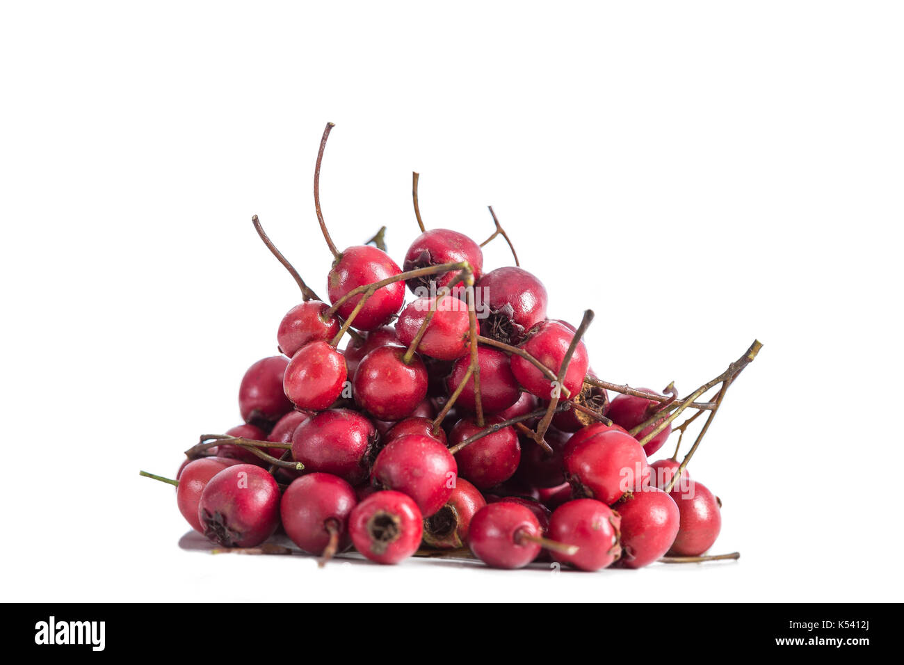 pile of red hawthorn berries Crataegus cut out on white background Stock Photo