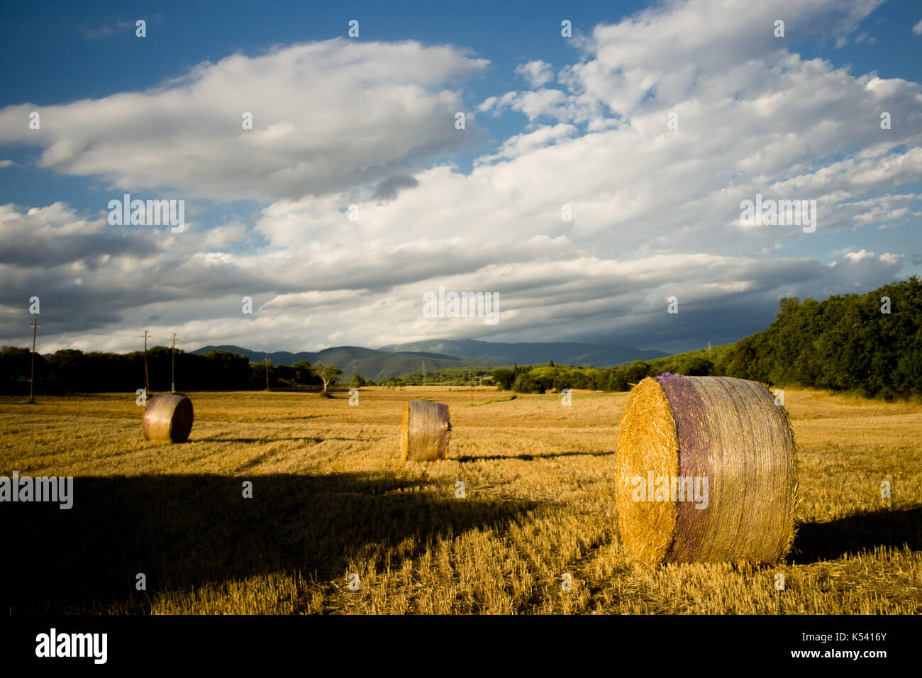 Rural scene in a harvested wheat field Stock Photo