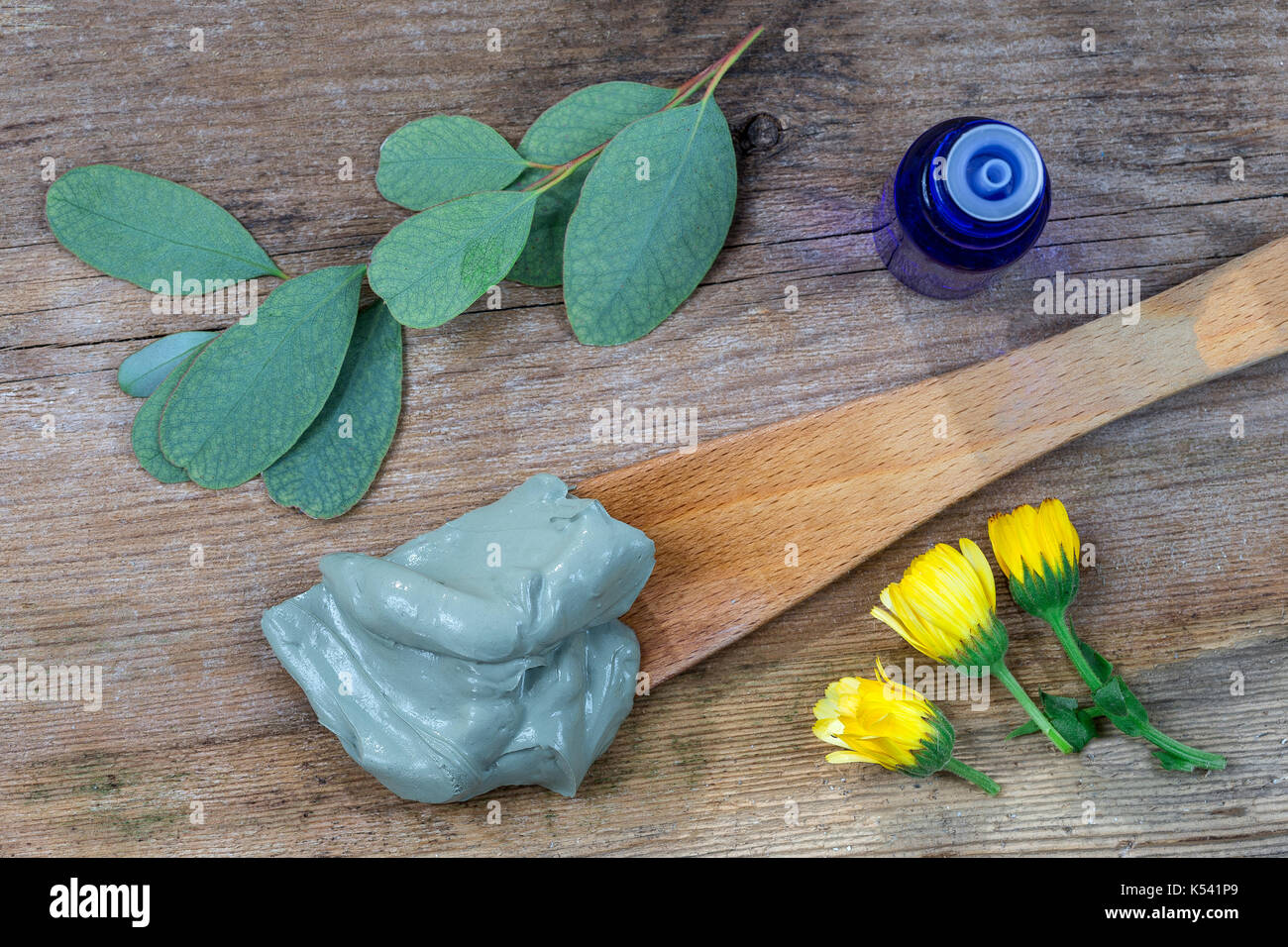 concept of natural cosmetic natural beauty withgreen clay and essentialoiland eucalyptus branch Stock Photo