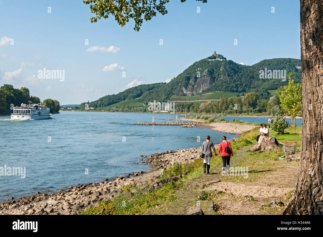 Drachenfels hires stock photography and images Alamy