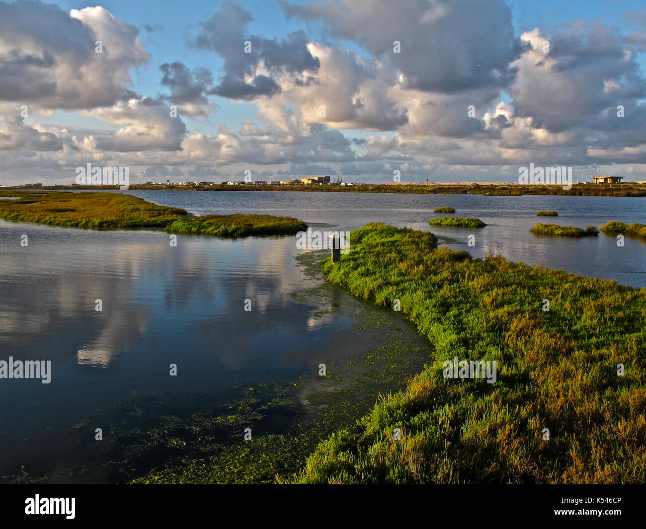 The Bolsa Chica Wetlands, Orange County, California Stock Photo Alamy