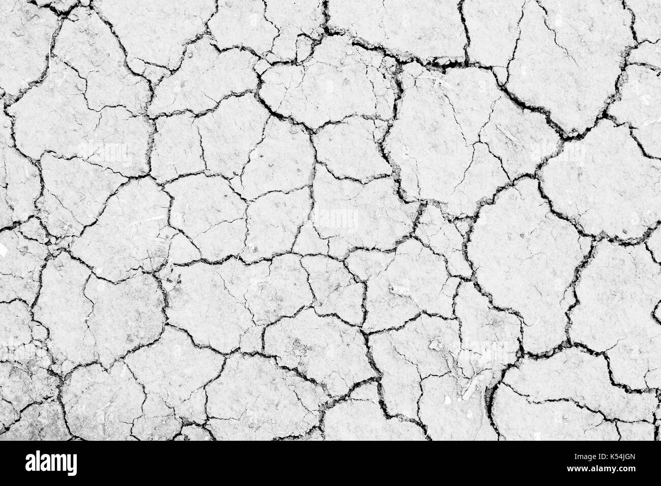 white dried land crack texture Stock Photo