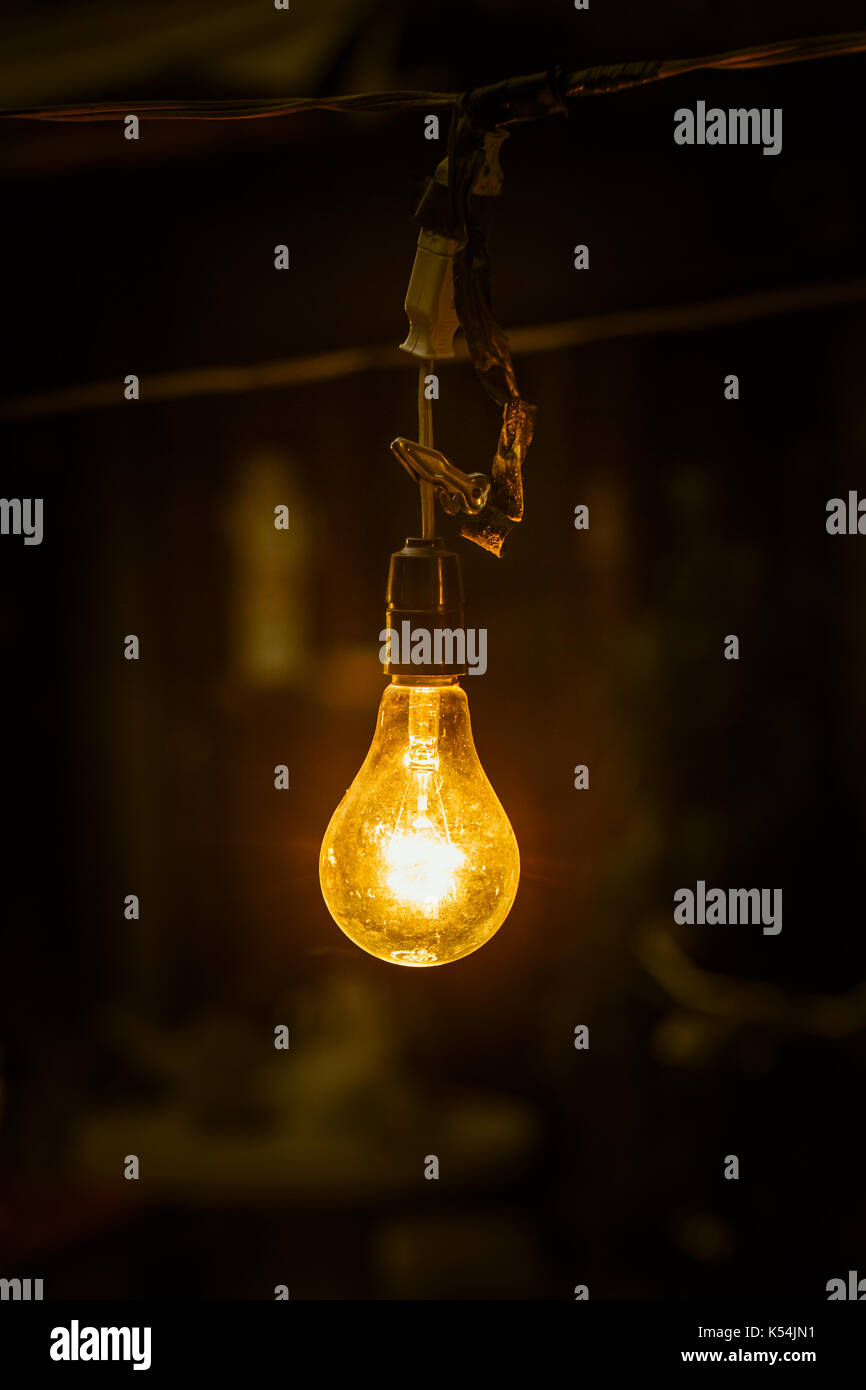 Tungsten light discount bulbs for photography