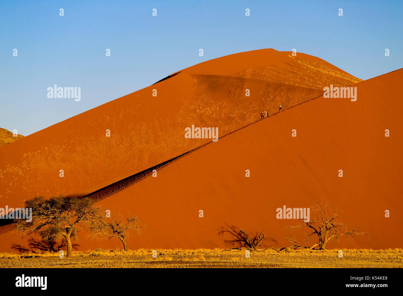 Dune 45 at Sossusvlei, Namib Naukluft National Park, Namibia Stock ...