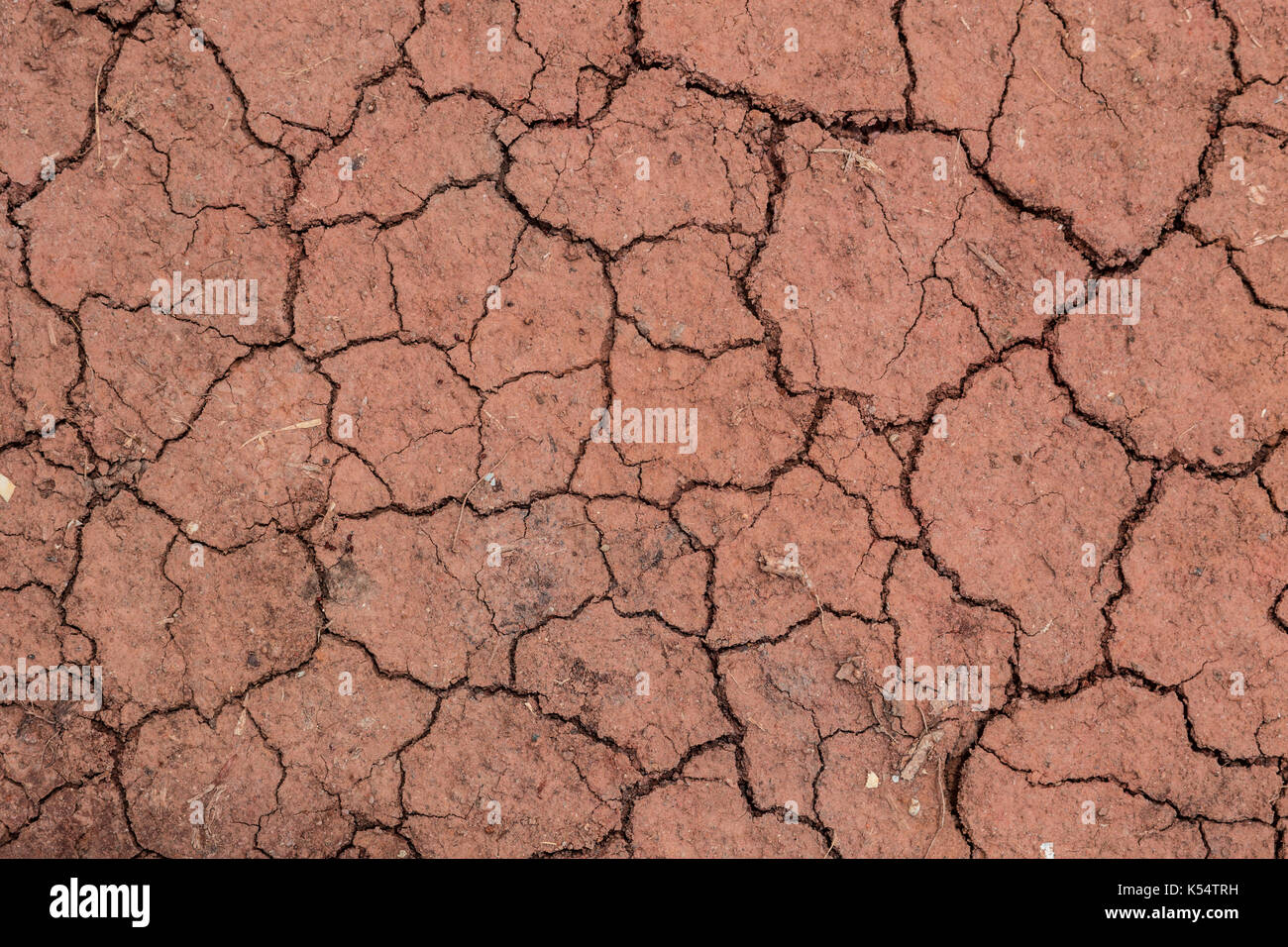 dried land crack soil Stock Photo