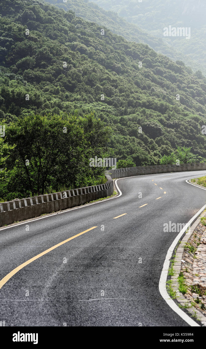 Asphalt road in forest hi-res stock photography and images - Alamy