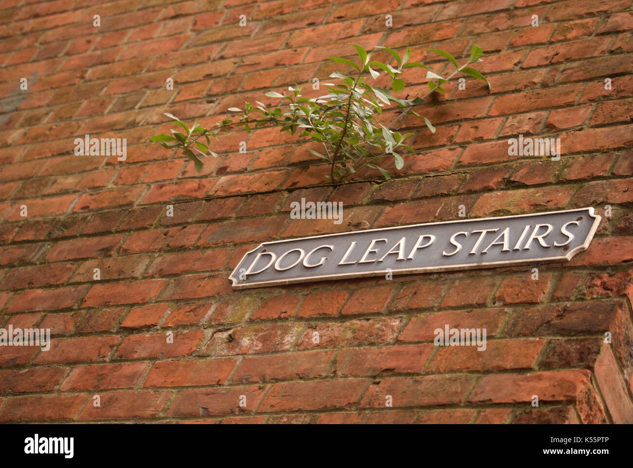 Dog Leap Stairs street sign, NewcastleuponTyne Stock Photo Alamy