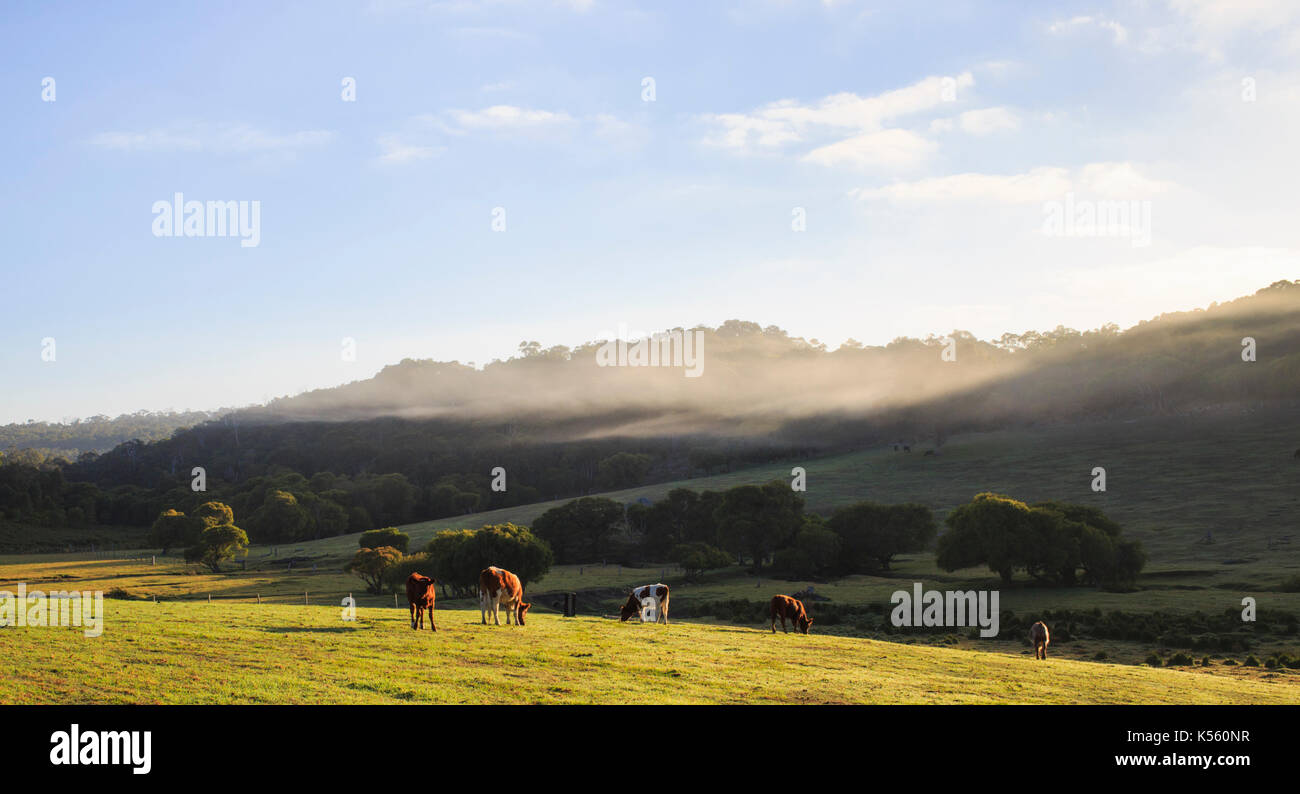Margaret field hi-res stock photography and images - Alamy
