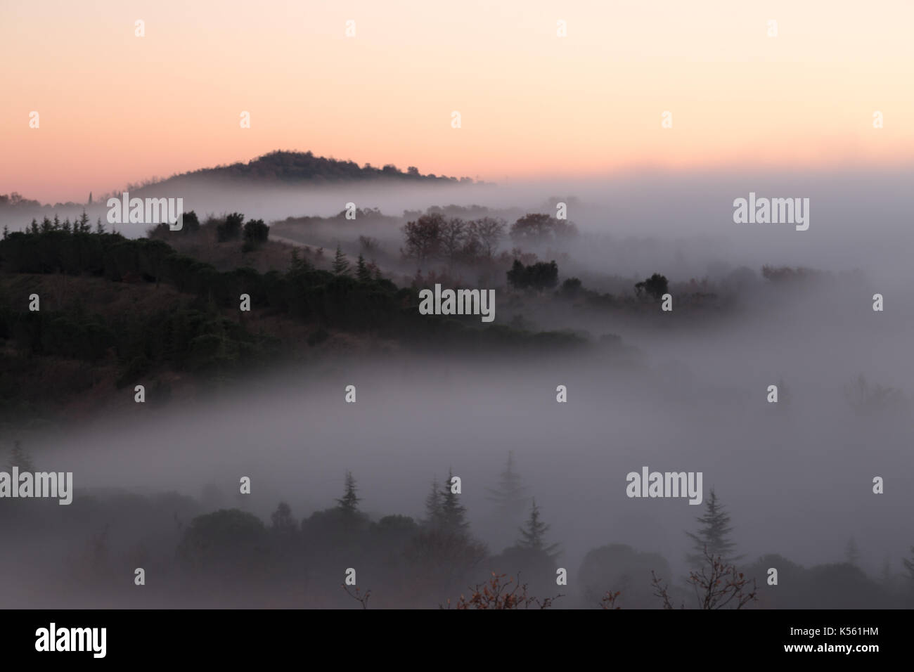 Hills and trees in the midst of fog at sunset Stock Photo