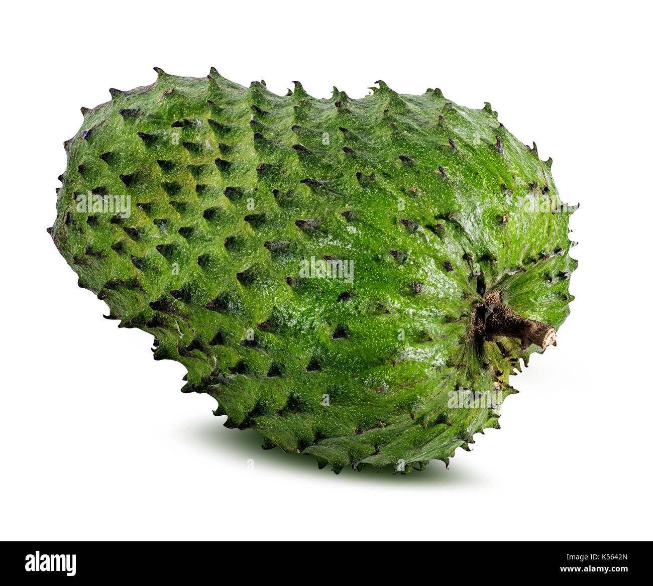 Annona muricata.Soursop fruit (Sugar Apple ,custard apple ) isolated on