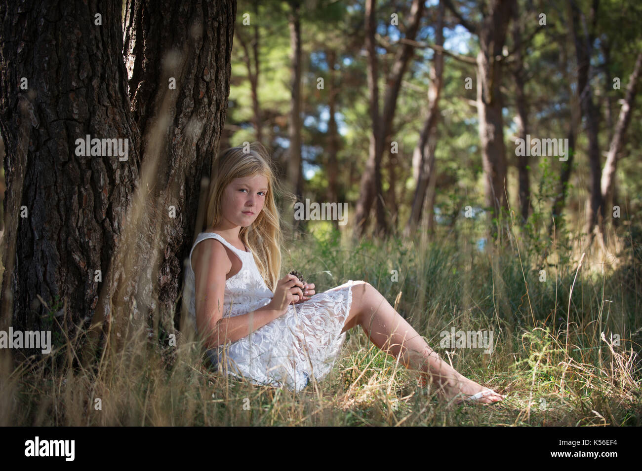 Long blonde haired cute girl in white dress, sitting leaning her back against tree with pine cone in hands. Fairy look alike. Stock Photo
